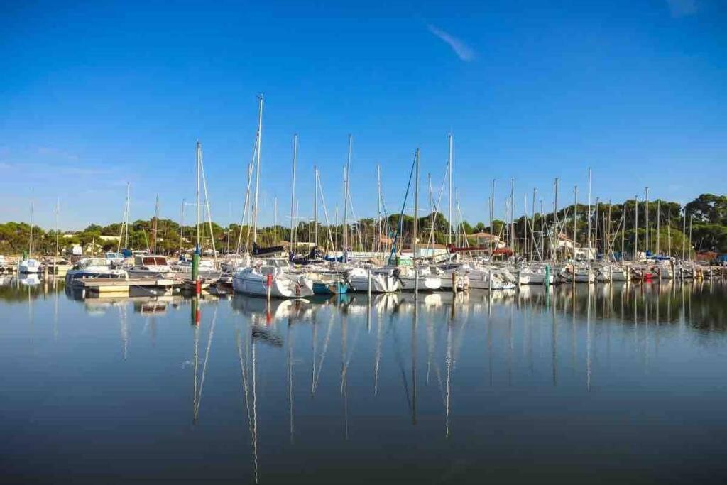 Apartment Adorable En Pleine Nature,la Nautique